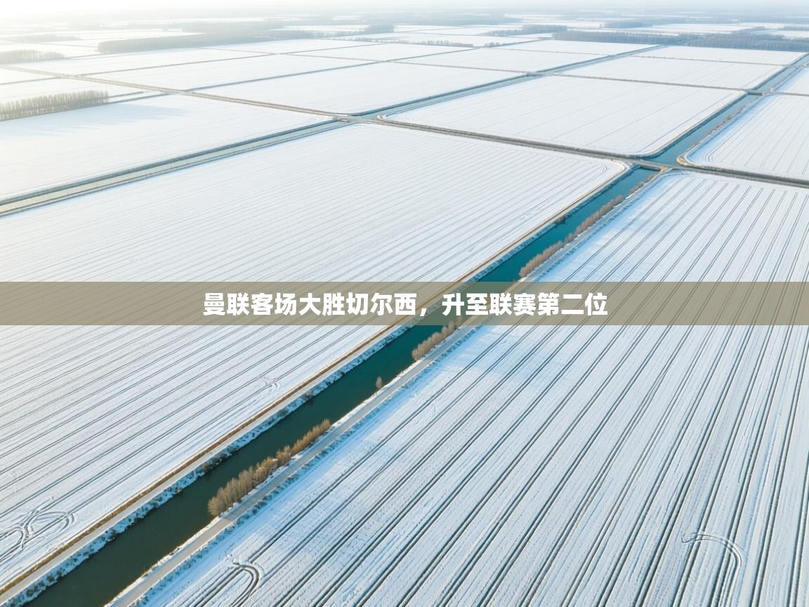 曼联客场大胜切尔西，升至联赛第二位  第1张