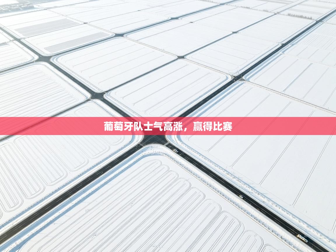 葡萄牙队士气高涨，赢得比赛