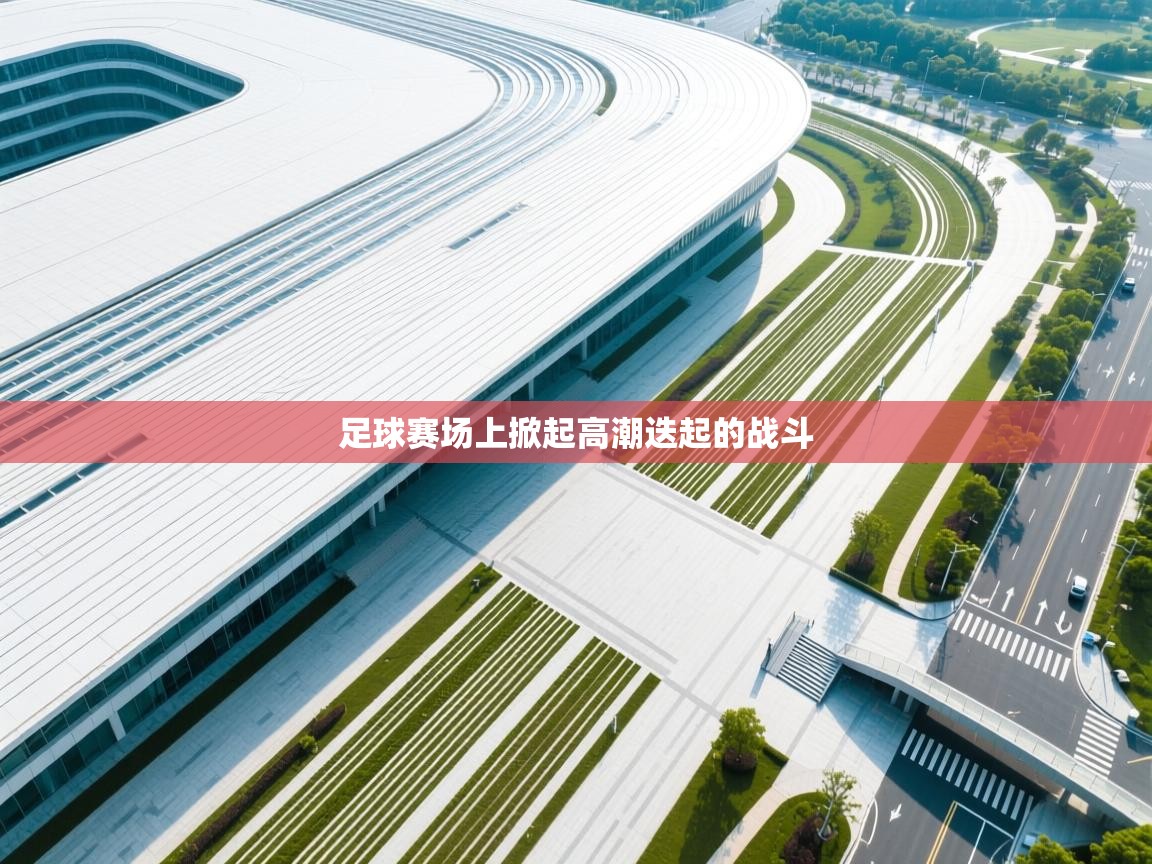 足球赛场上掀起高潮迭起的战斗  第2张