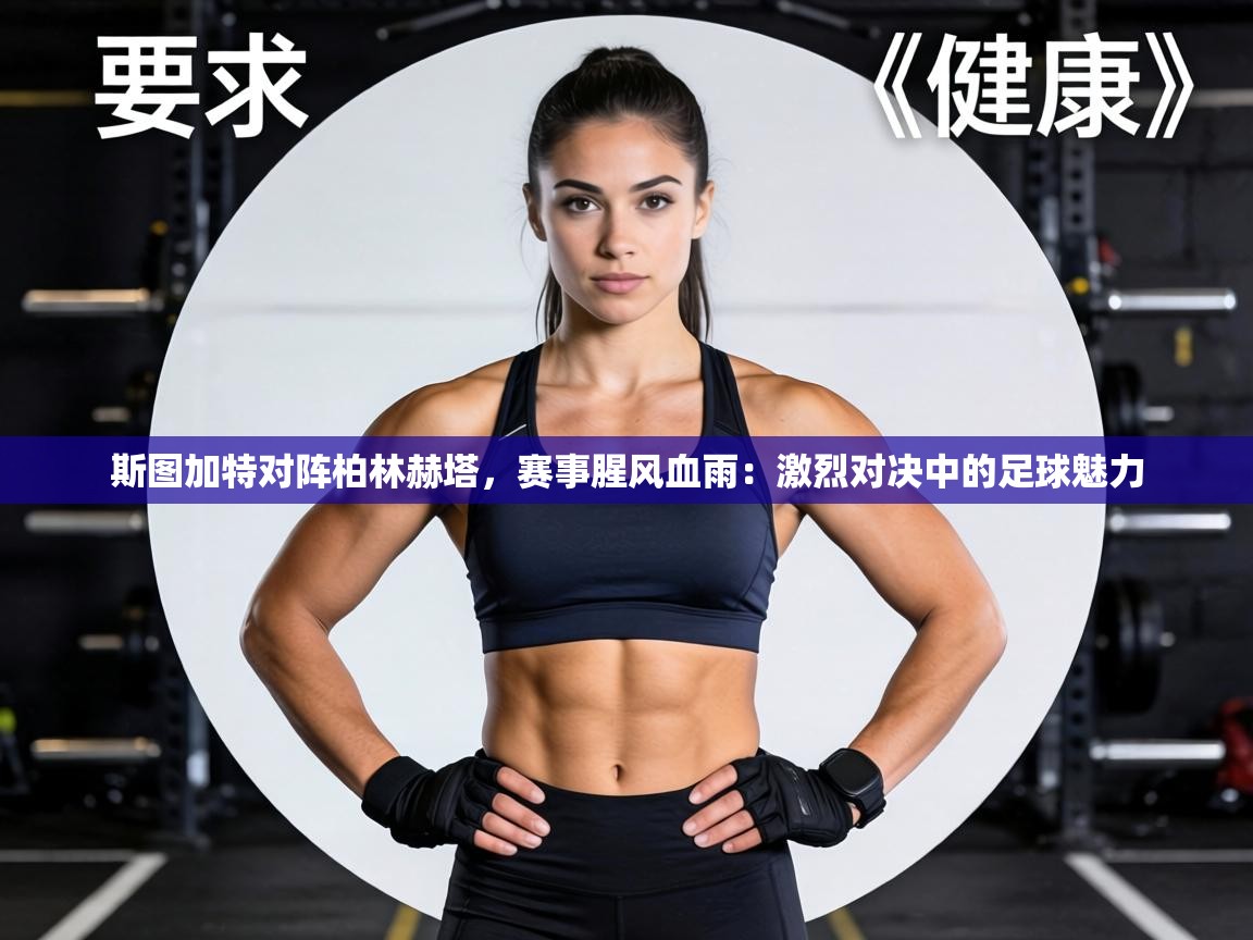 斯图加特对阵柏林赫塔，赛事腥风血雨：激烈对决中的足球魅力  第2张